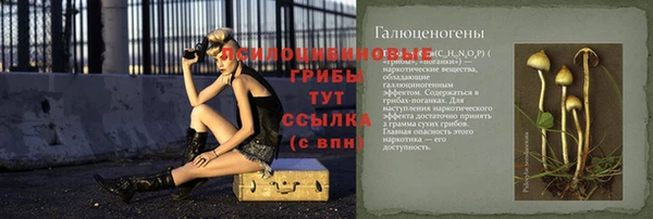 молекула духа Беломорск