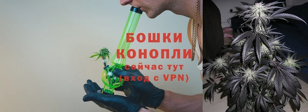 молекула духа Беломорск