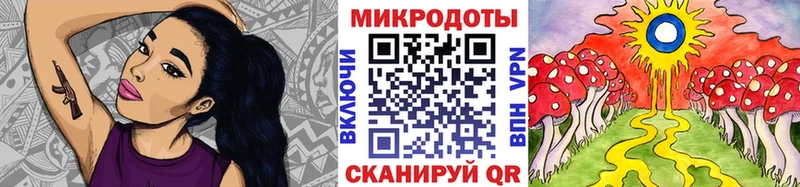 где найти наркотики  Нижний Ломов  Галлюциногенные грибы Psilocybe 
